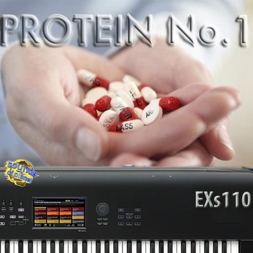 EXs110 Protein No. 1