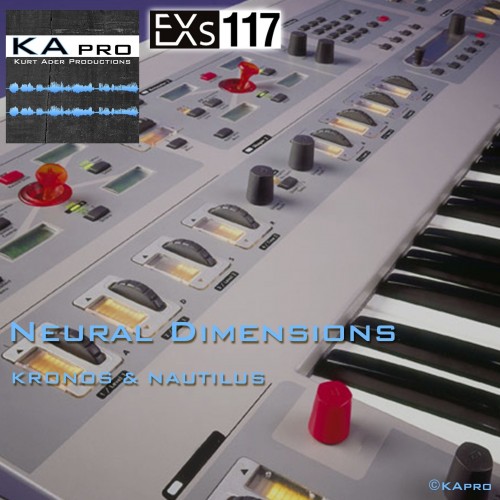 EXs117 Neural Dimensions