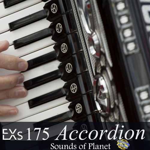 EXs175 Accordion