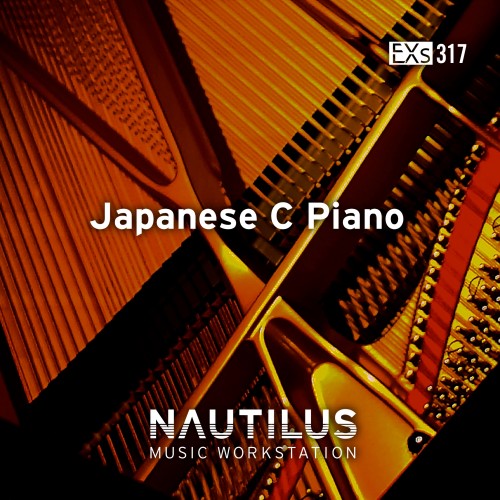 EXs317 Japanese C Piano