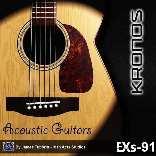 EXs91 Acoustic Guitars