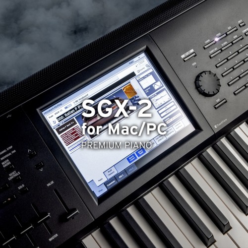 KORG Collection - SGX-2